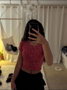 Hollister Red Floral Crop Tee